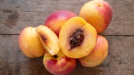 How To Give A Peach Seed The Best Chances Of Germinating