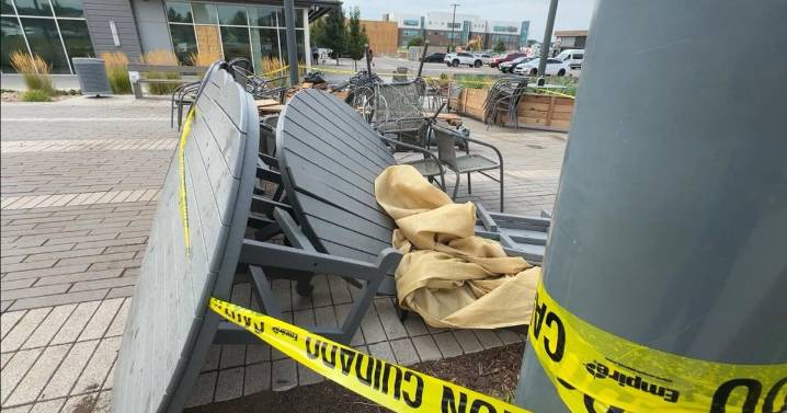 Community rallies around Denver pizza place after hit