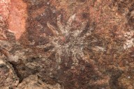 Confirma INAH hallazgo de pinturas rupestres en Cañón de las Manitas, Puebla