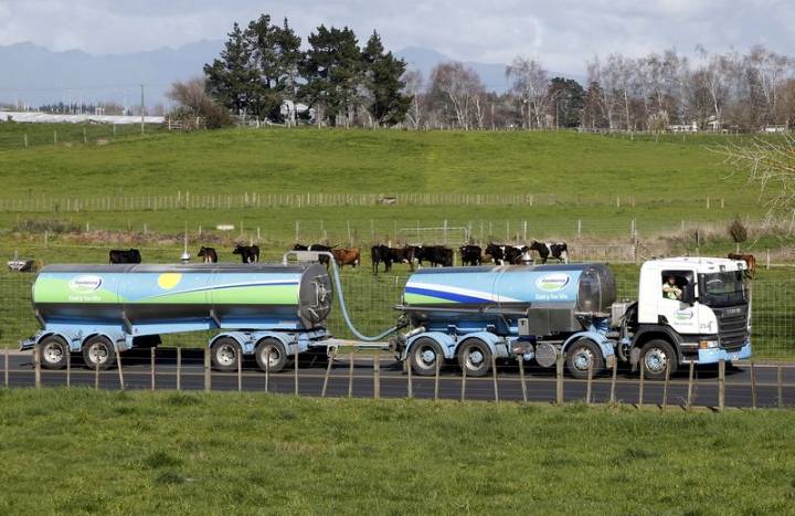 NZ's Fonterra raises annual milk price forecast on stable diary prices