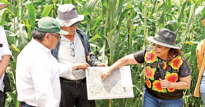 Buscan un plan para rescatar zona lacustre en Xochimilco y Tláhuac