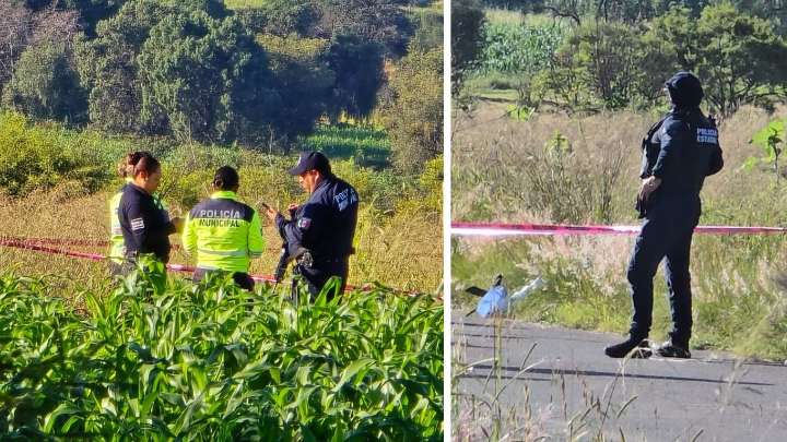 Hallan seis cabezas humanas en estado de descomposición en inmediaciones del estado de Puebla y Tlaxcala