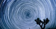 When it comes to watching shooting stars, California is your best bet, oddsmakers say