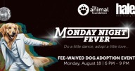 Get your groove on at the Animal Foundation's disco