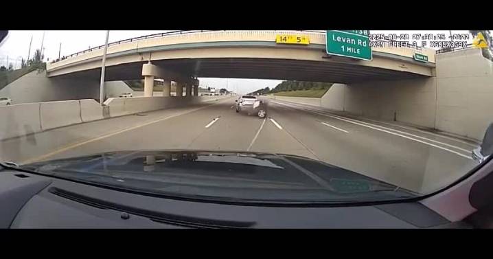Dashcam video shows Livonia police use grappler device to stop stolen vehicle