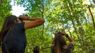 Madrid se consolida como destino clave para la observación de aves con más de 240 especies registradas