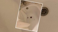 "Las cucarachas salían de debajo de los muebles": La terrorífica experiencia de una familia en unos apartamentos de Zahara de los Atunes