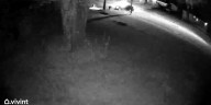 Deadly Frayser shootout caught on camera