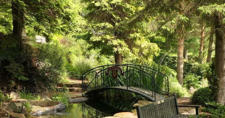 The Edinburgh hidden gem garden perfect to escape the chaos of the Fringe Festival
