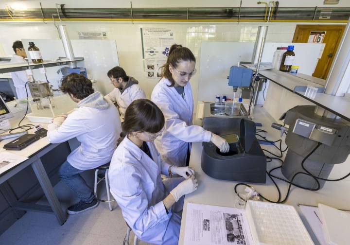 Cantabria cuenta con más de 36.000 jóvenes menores de 25 años sin actividad laboral
