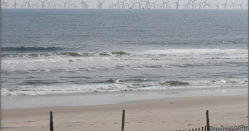 New Jersey’s Save LBI Applauds Federal Offshore Energy Process Reform, Calls for Early Public Engagement and Major Rule Revisions