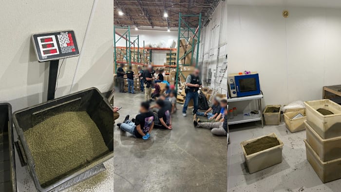 1,200 pounds of marijuana seized, 18 people detained by ICE at Stafford warehouse
