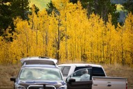Are Colorado leaves already changing? We separate fact from fiction.