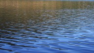Mother drives family into lake; Son and husband found dead separately