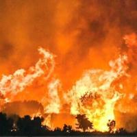 Thousands battle Greece fires as heatwave bakes Europe