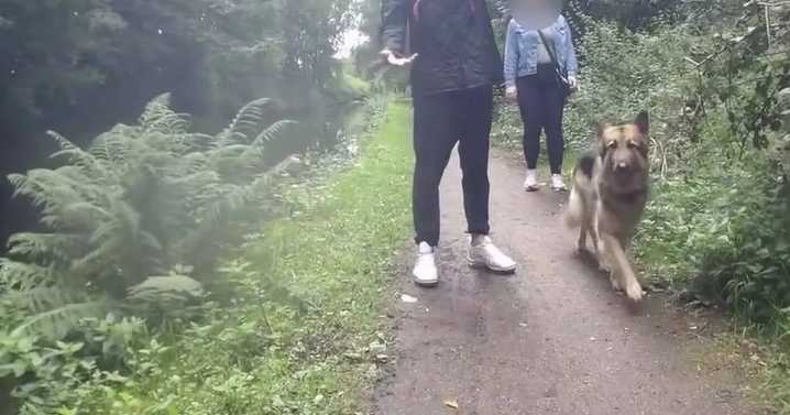 Dog walker who 'pushed cyclist into canal' breaks silence after online fury