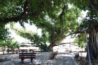 Front Street wildfire recovery moving slower than other parts of Lahaina