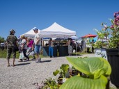 A tale of two farmers' markets in the Wellington area