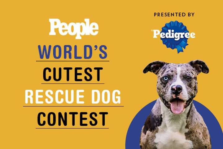 2025 People's World's Cutest Rescue Dog Contest Presented by the Pedigree Brand