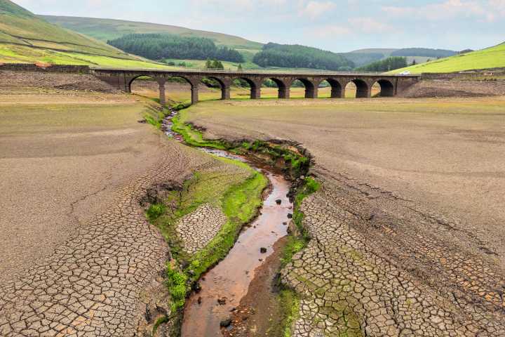 Five years of drought means there's only one conclusion for Britain's farmers: 'Climate change is real and affecting us now'