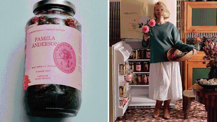 Pamela Anderson Pickles Flamingo Estate: Buy Online