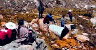 Minera Yanacocha demandada por despojar de tierras a comunidades campesinas