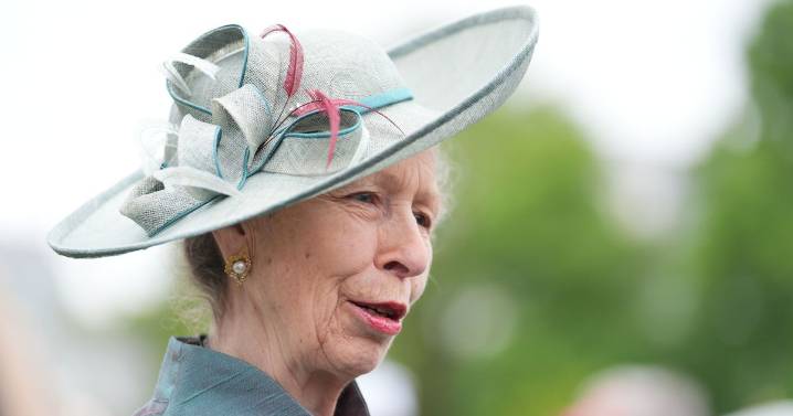 'I flew with Princess Anne and will never forget her savage response to RAF pilot'