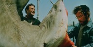«Tiburón» vuelve al cine por su 50 aniversario: ya puedes comprar tus entradas