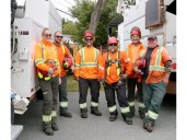 If Sudbury's trees are healthy, so are its people: City's tree warden 