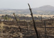 AEMET alerta de la posible propagación de incendios por las tormentas secas