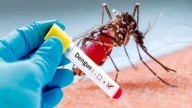 Taiwán detecta su primer brote local de dengue de 2025