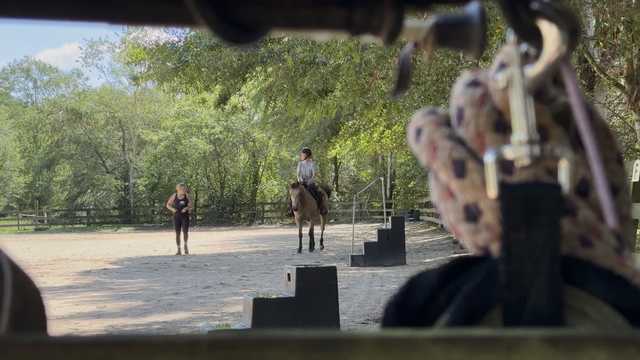 SOUTH CAROLINA: Historic Upstate riding stable at risk of closure