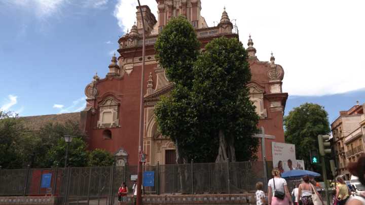Talan el ficus de San Jacinto, el símbolo de Triana durante más de 100 años