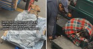 Lustrabotas peruano conmueve en redes al proteger a sus 2 perritos del frío mientras trabaja: “Mis respetos”