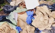 Santiago del Estero: detuvieron a un hombre que vendía milanesas hechas con papel higiénico en un festival