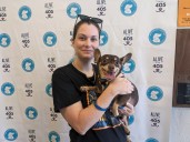 Saturdays OKC Animal Welfare Clear the Shelters campaign