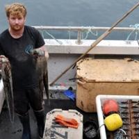 'Perfect storm': UK fishermen reel from octopus invasion