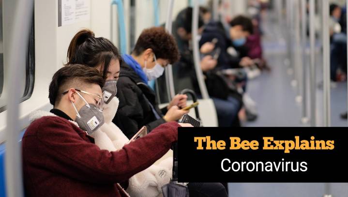 The Bee Explains: Coronavirus