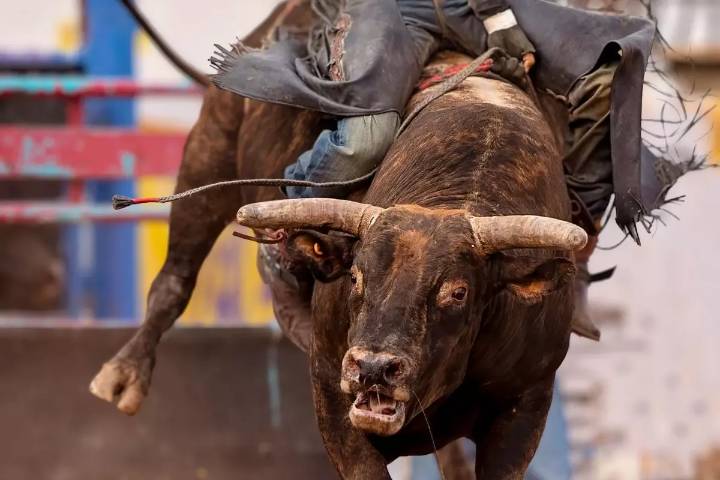 Win Rodeo Tickets
