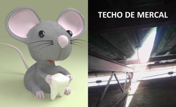 Polidelta atrapó al “Ratón Pérez” con dos sacos de comida al lomo en galpón de Mercal