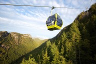 B.C. Forestry board to audit forestry licence near Pemberton