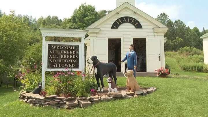 A massive mountain park in Vermont celebrates the bond between dogs and their humans