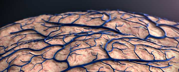 Alzheimer's May Start at The Brain's Borders, Scientists Discover