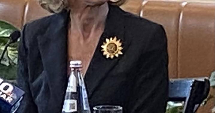 Christine Baranski of 'The Gilded Age' fame speaks The Preservation Society of Newport County event