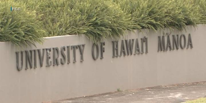 Police seek suspect who allegedly followed, groped woman near UH Manoa