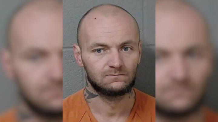 Convicted felon faces 10 years after pleading guilty to stealing hardwood walnut tree