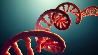 Ionis: Dawnzera Approval Kicks Off New Era For Strikingly Undervalued Pharma (NASDAQ:IONS)