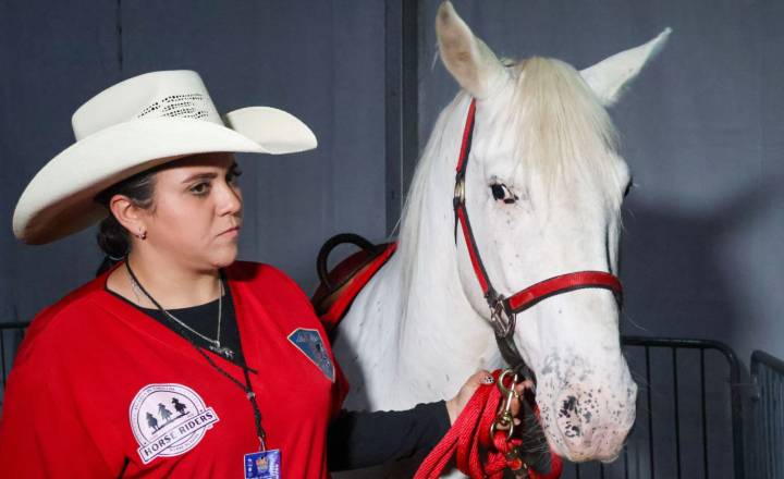 Equinoterapia gratuita continúa en la Expo Feria Tulancingo 2025