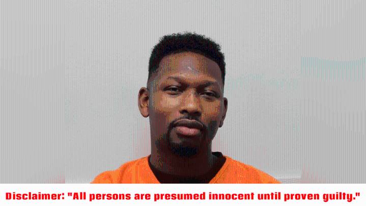 Baton Rouge man blames turtle for causing car crash, faces hit