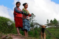 ONU pide a Honduras garantizar el territorio y la consulta previa a los pueblos indígenas